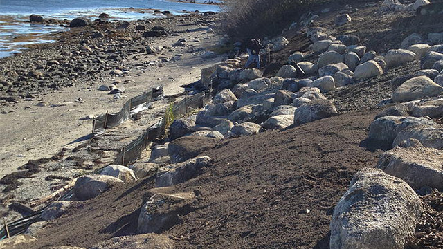 Shoreline Stabilization